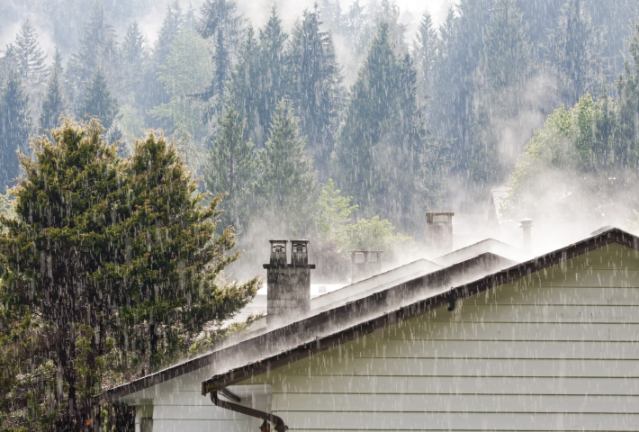 House roof with forest during rain
