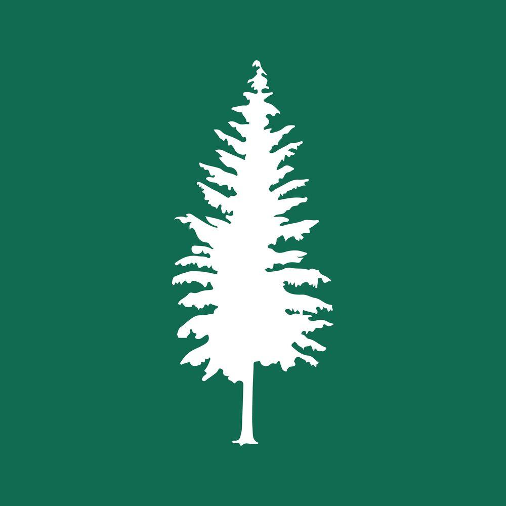 Washington State Standard logo